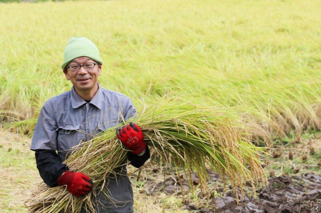 Rice grown for sake brewing？？