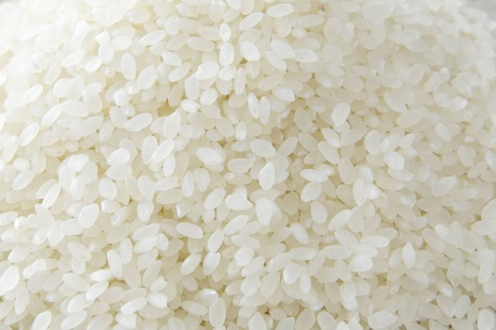 fukuhikari rice